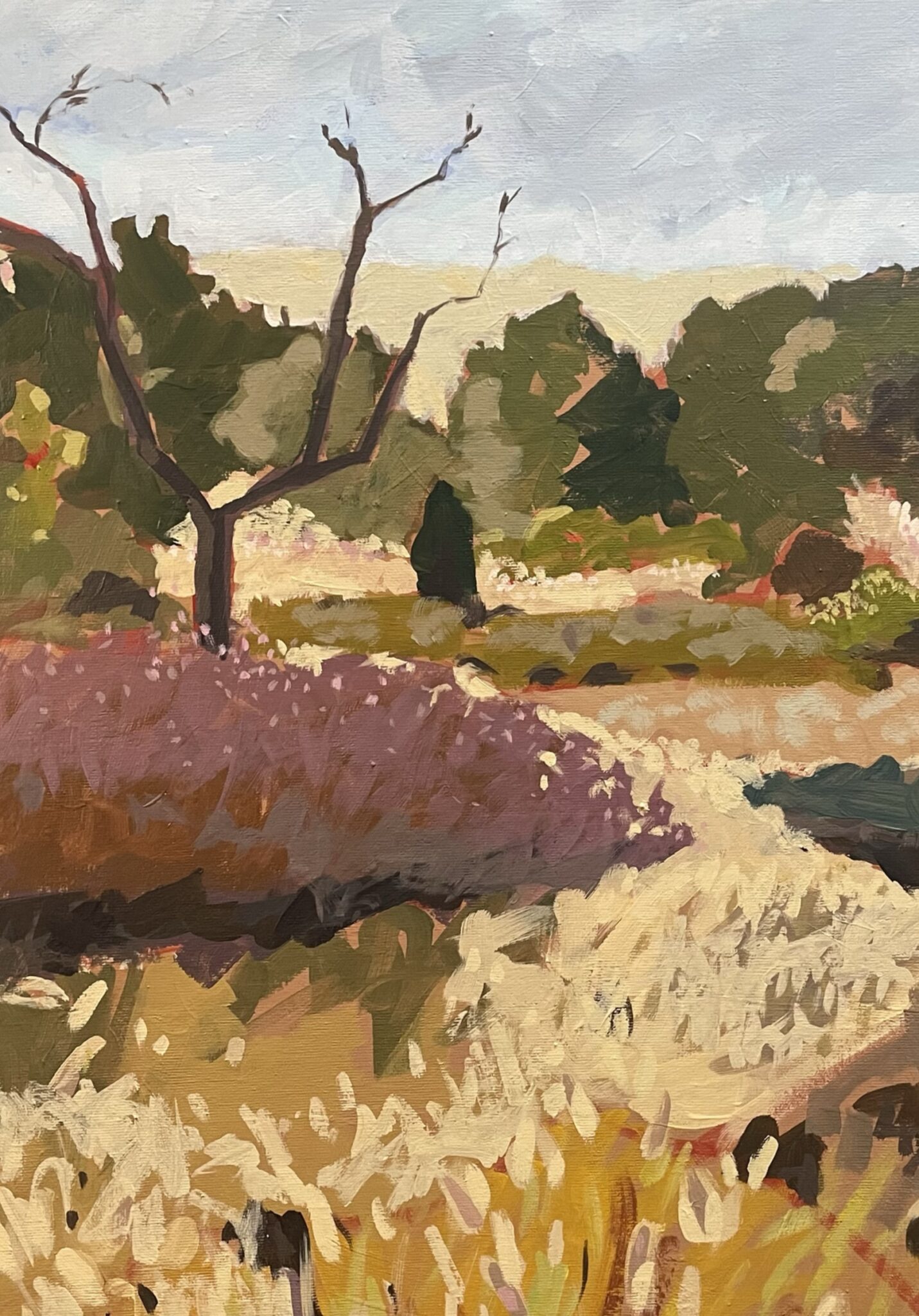 Landschaft1